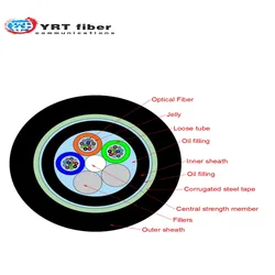 12-brins câble fibre optique GYTA53-4/8/24/48/72/96/144 GYTY53 Flame Retardant Wire Anti-Rat