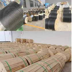 Extérieur armé monomode câble fibre optique G652D Fiber HDPE gaine GYXTW